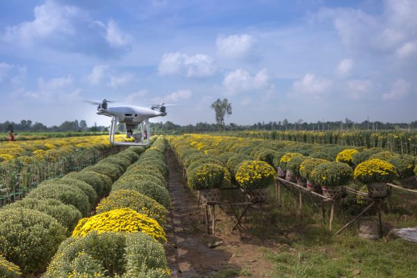 Unleashing ai: innovative approaches to enhance environmental monitoring systems